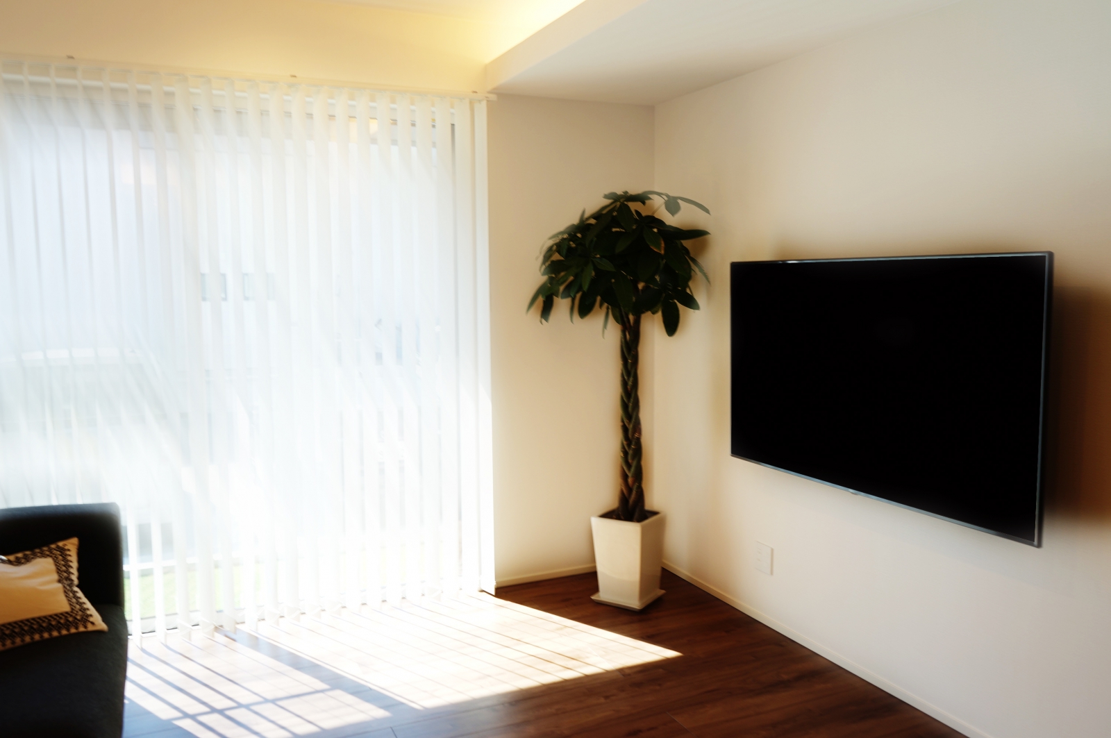 壁に掛かったテレビと観葉植物がスタイリッシュさを演出しています。日差しもたっぷり入り込んで明るい空間に誰もが羨みます。
