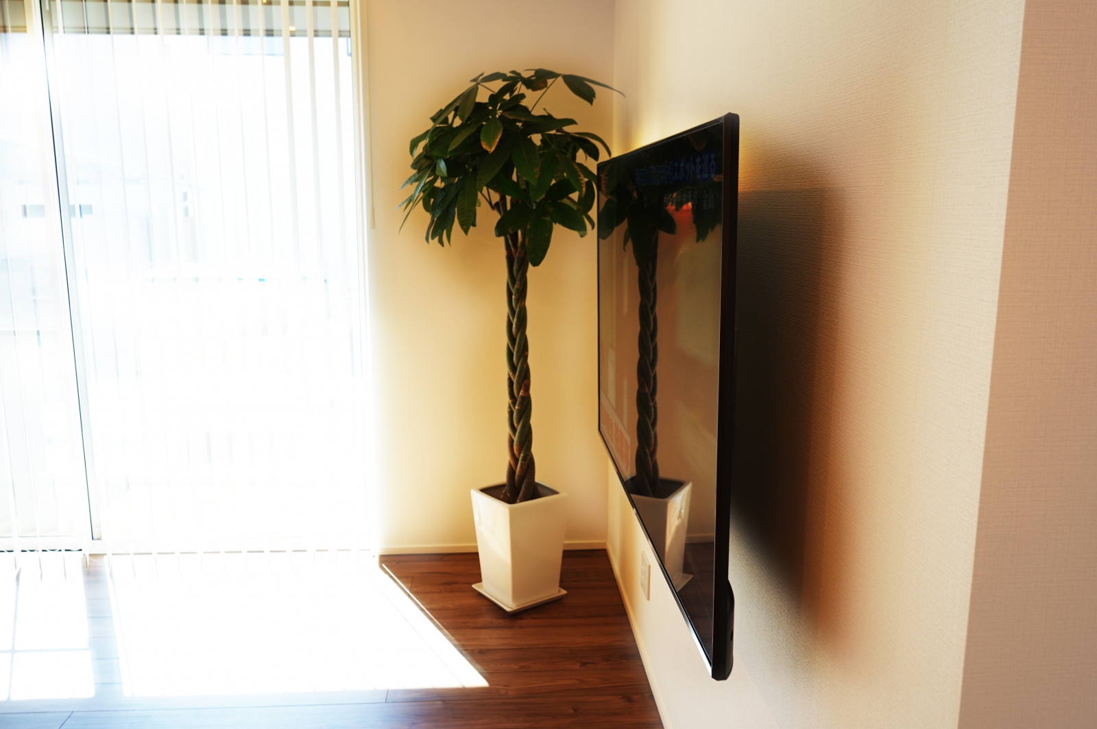 65インチ液晶テレビと観葉植物がベストマッチ 画像No.2