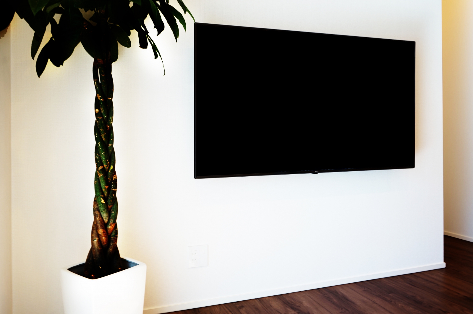 65インチ液晶テレビと観葉植物がベストマッチ 画像No.3